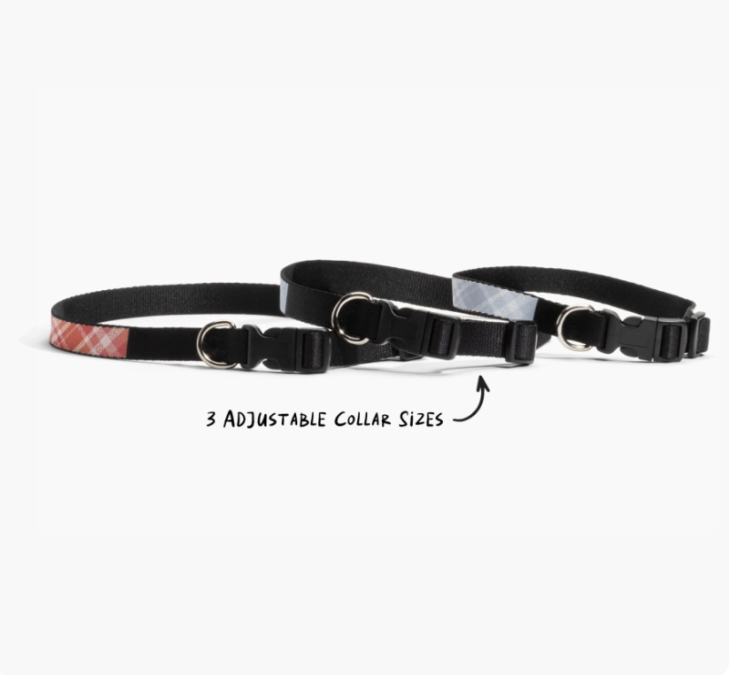 Custom Dog Collars