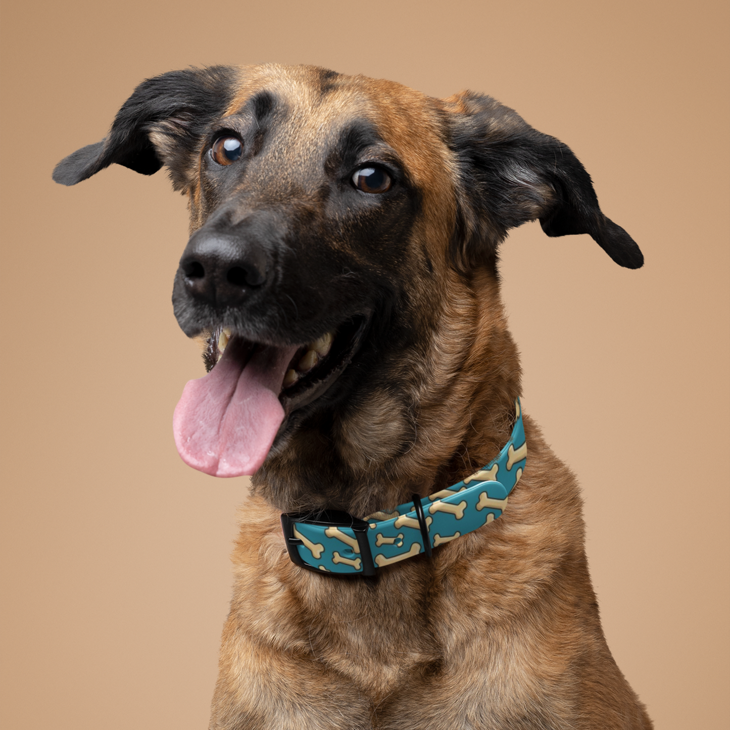 Custom Dog Collars
