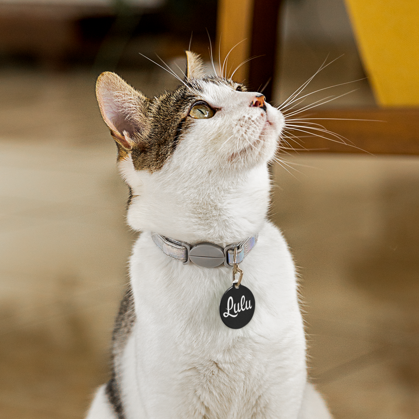 Custom Pet Tags