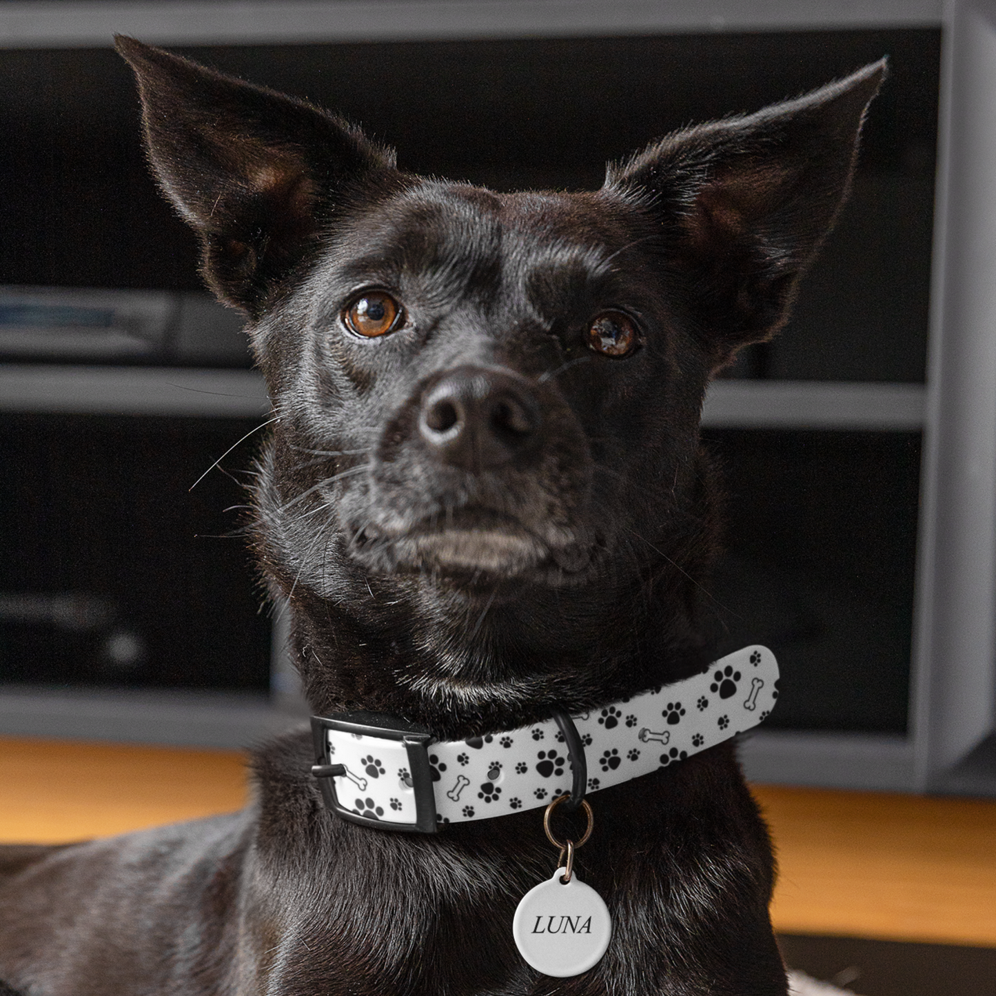 Custom Pet Tags
