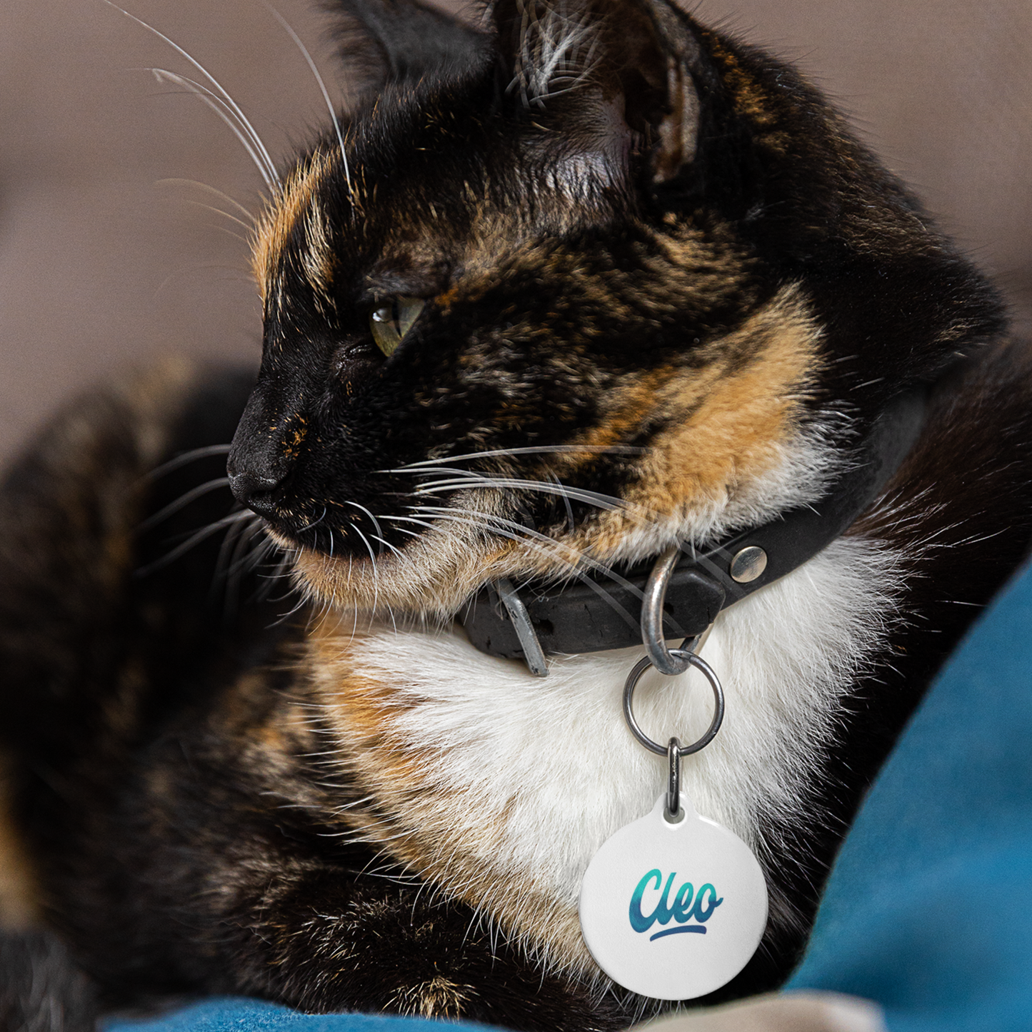 Custom Pet Tags