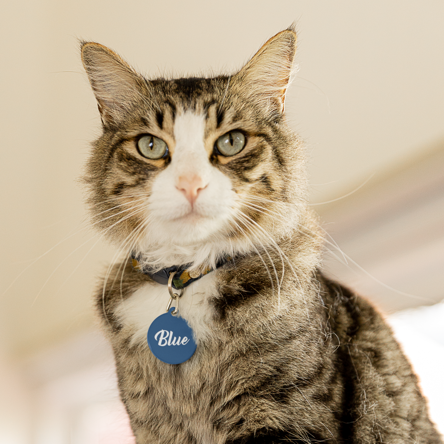 Custom Pet Tags