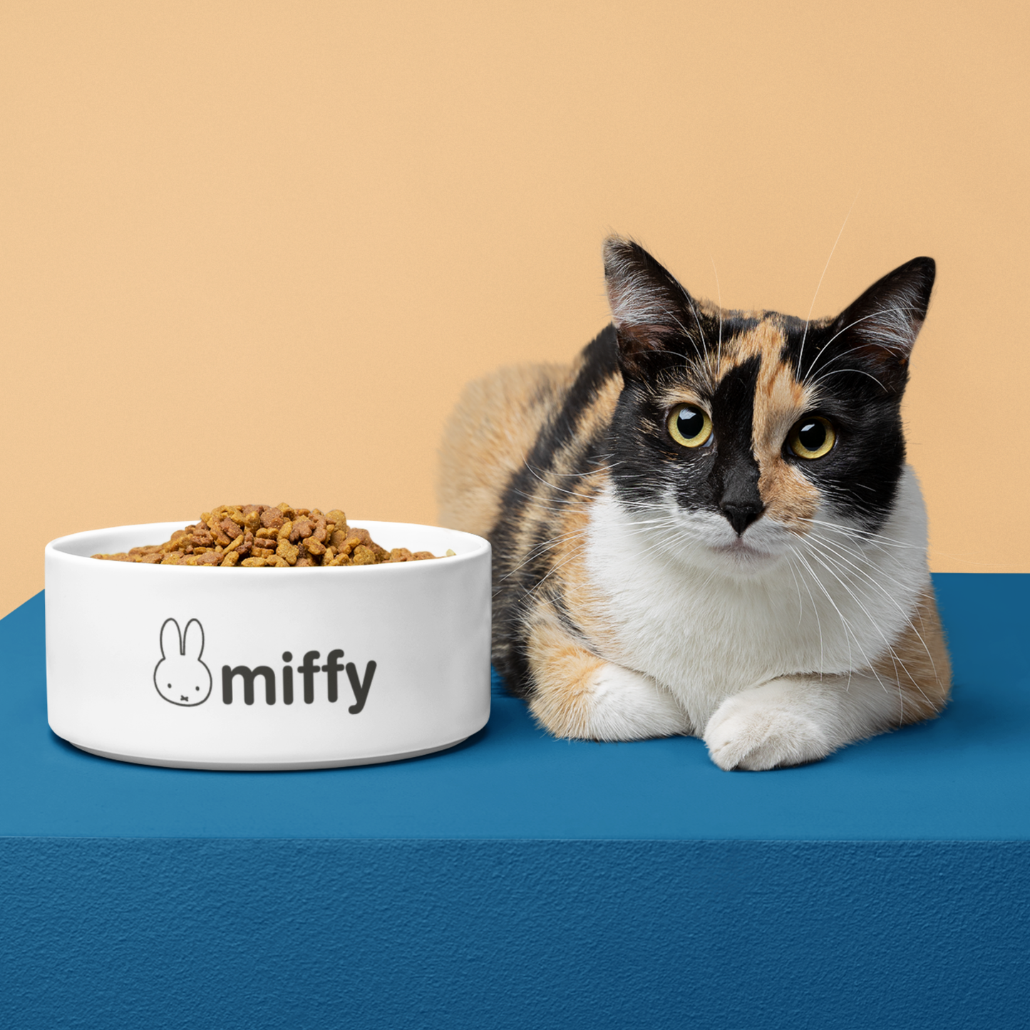Custom Pet Bowls