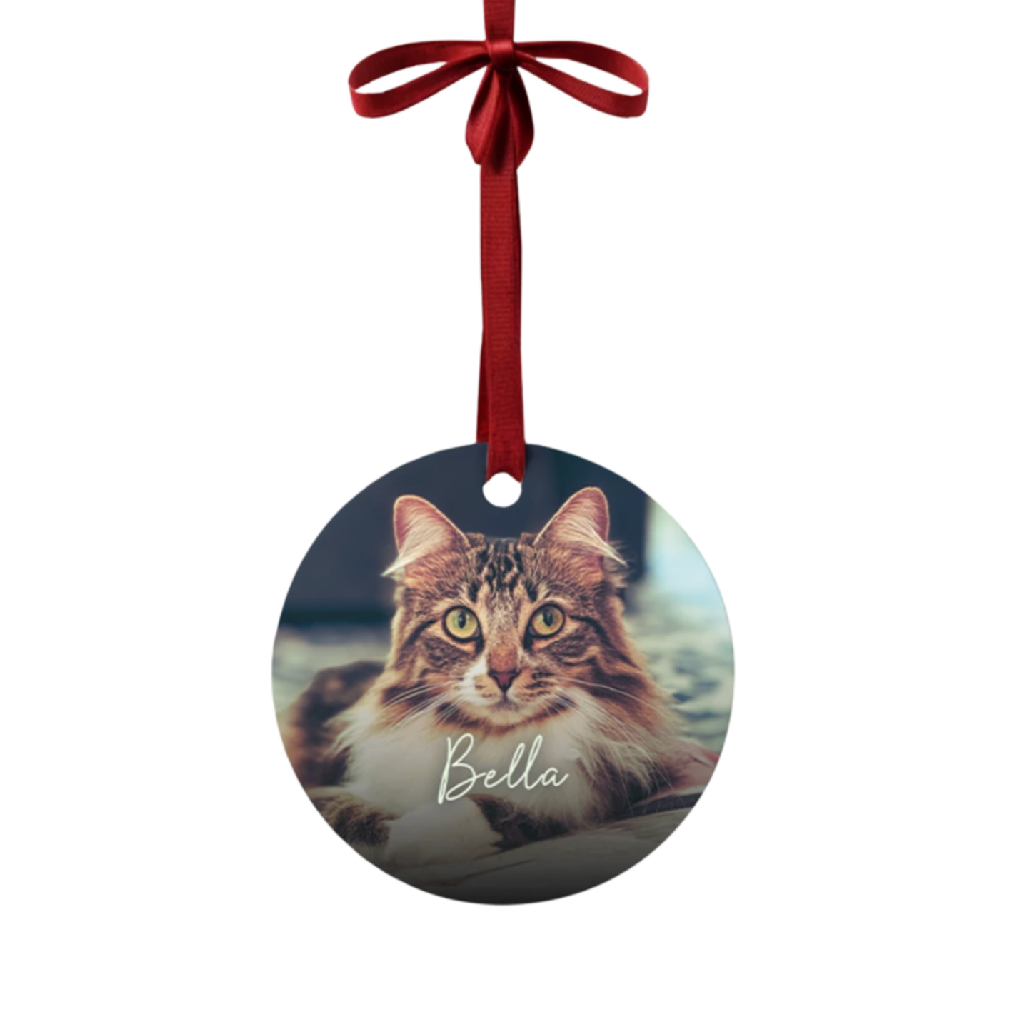 Custom Photo Ornament - Metal