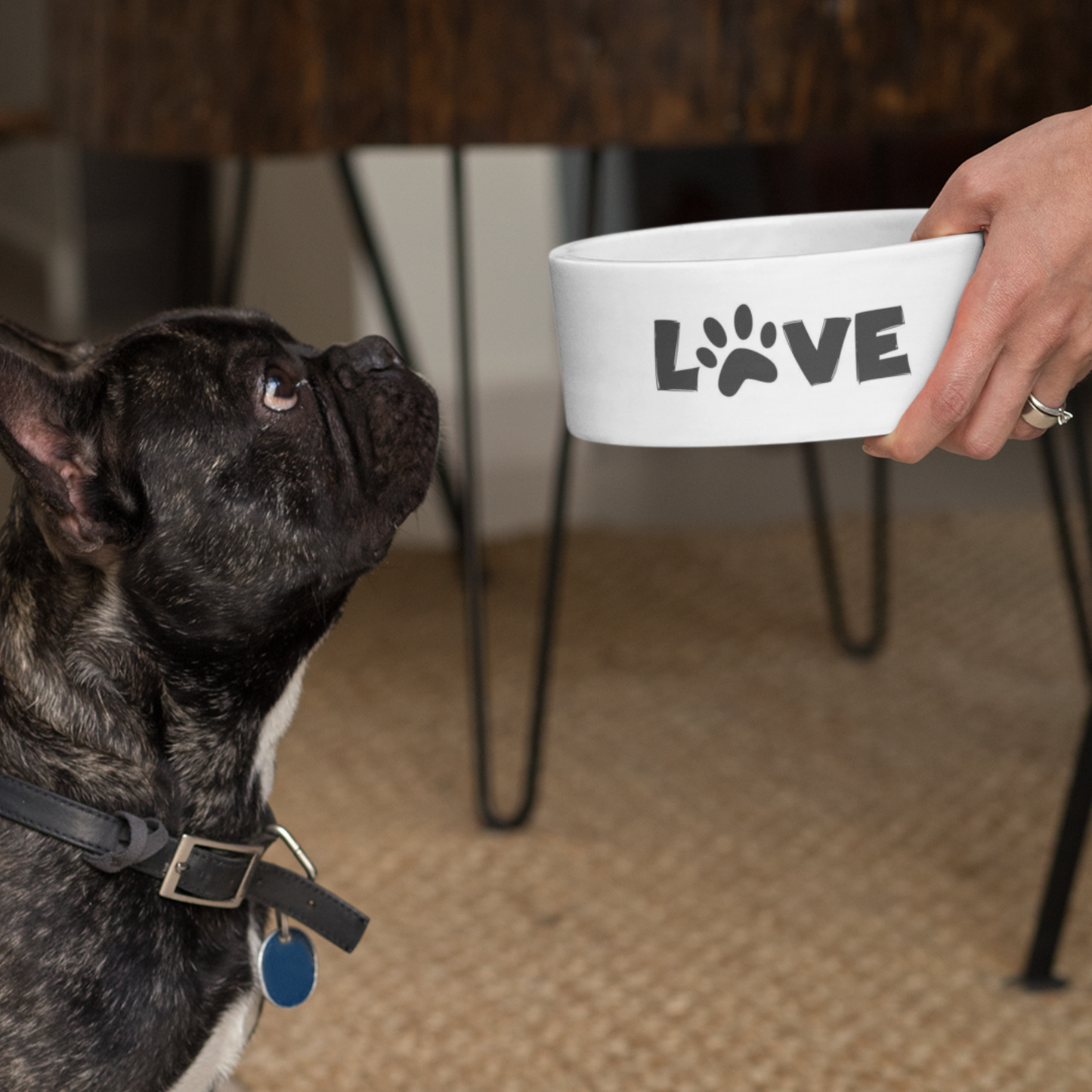 Custom Pet Bowls