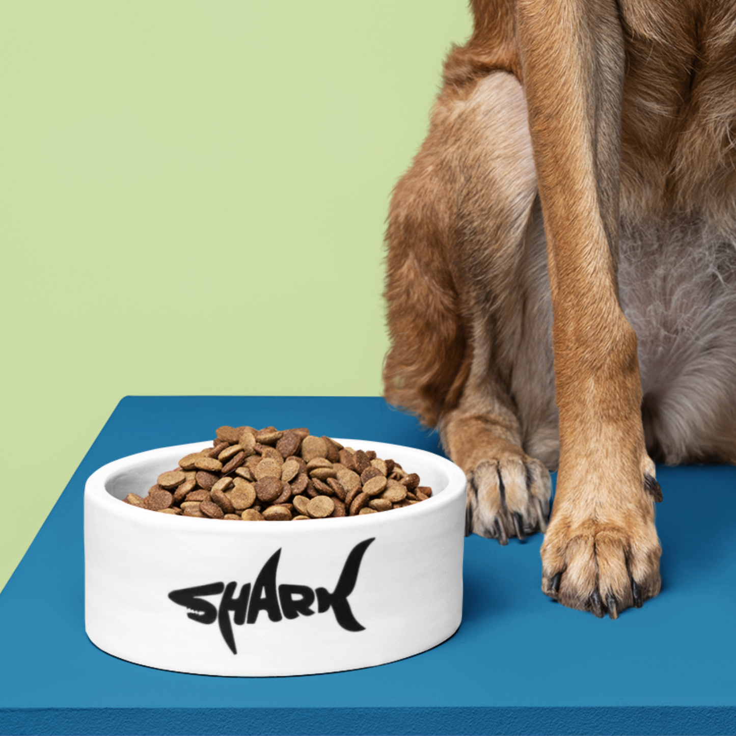 Custom Pet Bowls