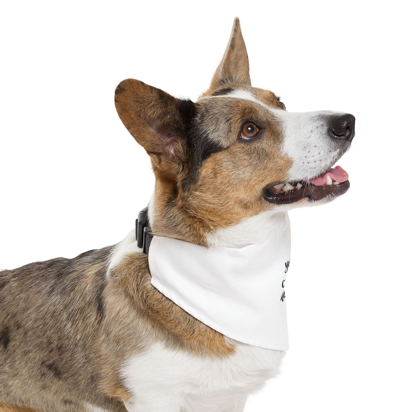 Your Custom Design Pet Bandana Collar