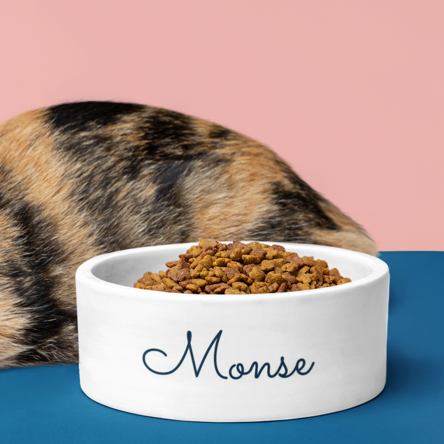 Custom Pet Bowls