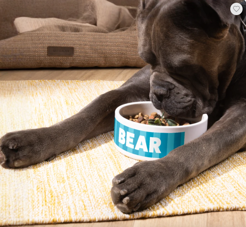 Custom Pet Bowls