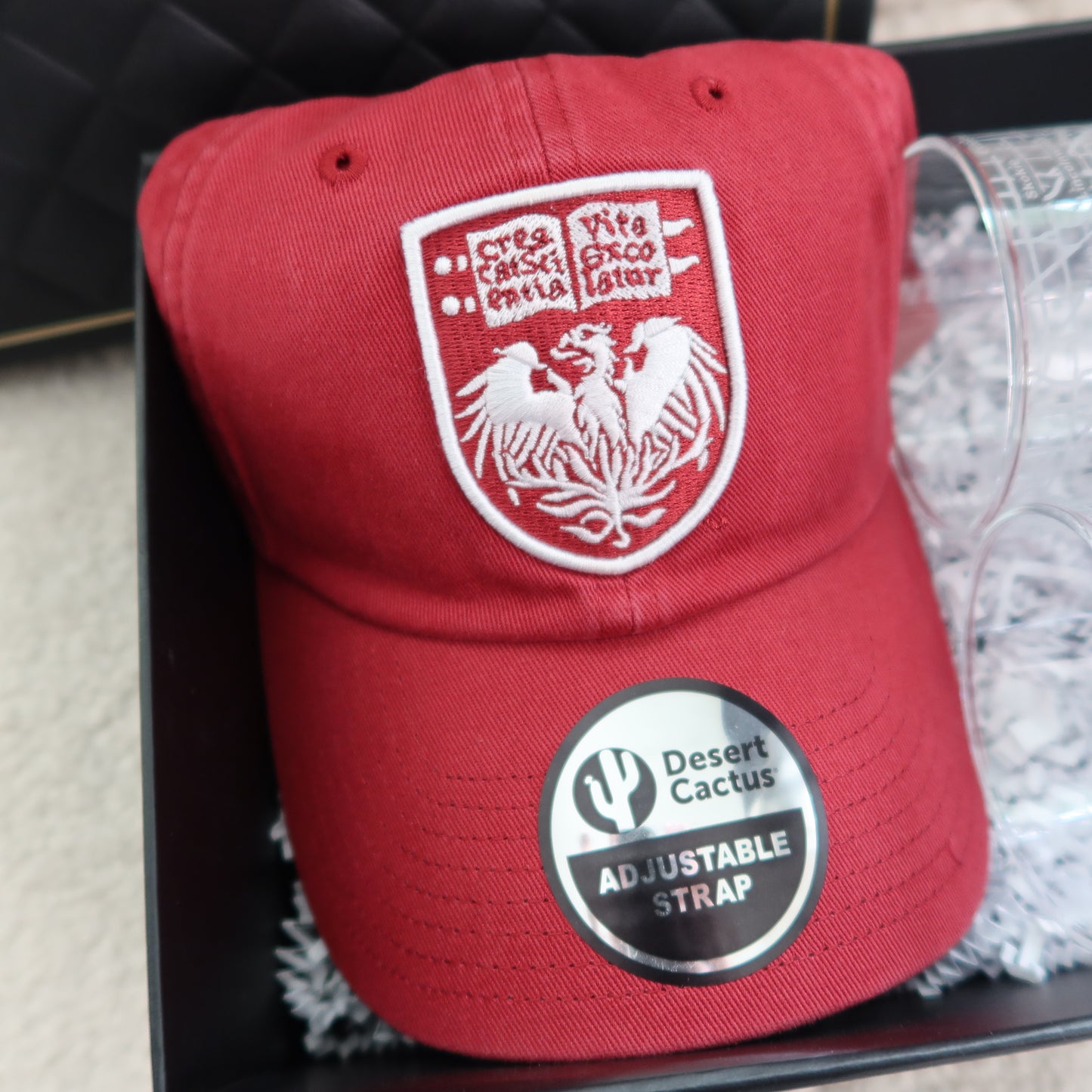 UChicago Grad Gift Bundle 🎓🐾