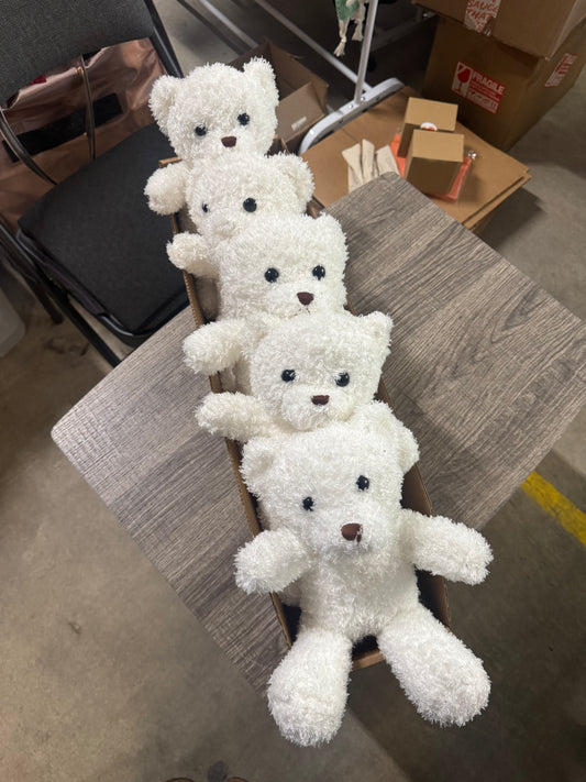 Hindi Singing Teddy Bear