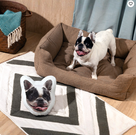 Custom Pet Face Pillows