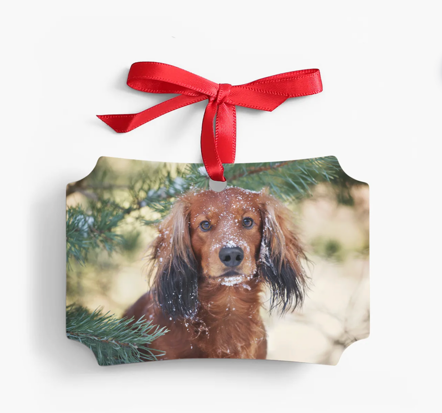 Custom Photo Ornament - Metal Rectangle