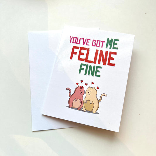 You've Got Me Feline Fine Card